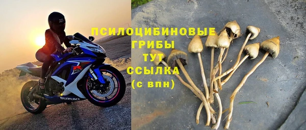 соль ск Абаза